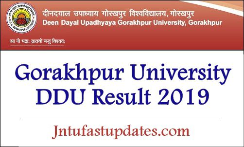 DDU Result 2019