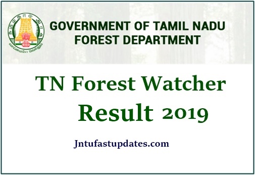 TNFUSRC Forest Watcher Result 2019