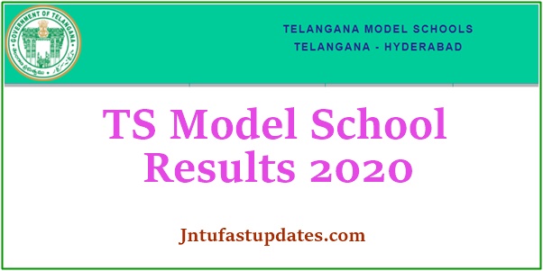 TS Model School Results 2020